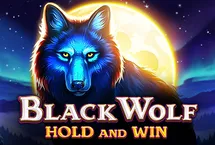 RTP quickspin  foxybet77